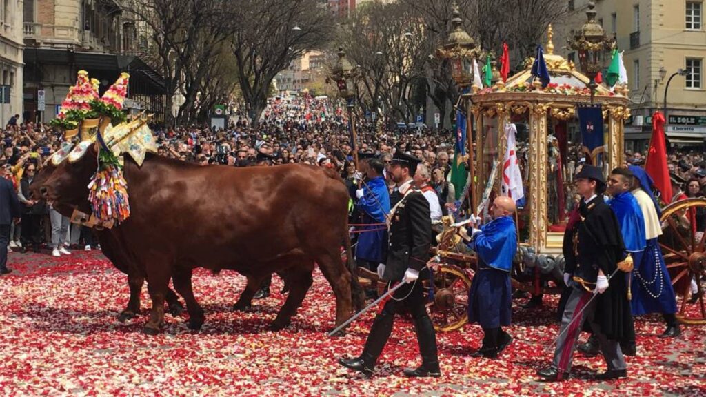 Buoi durante la processione