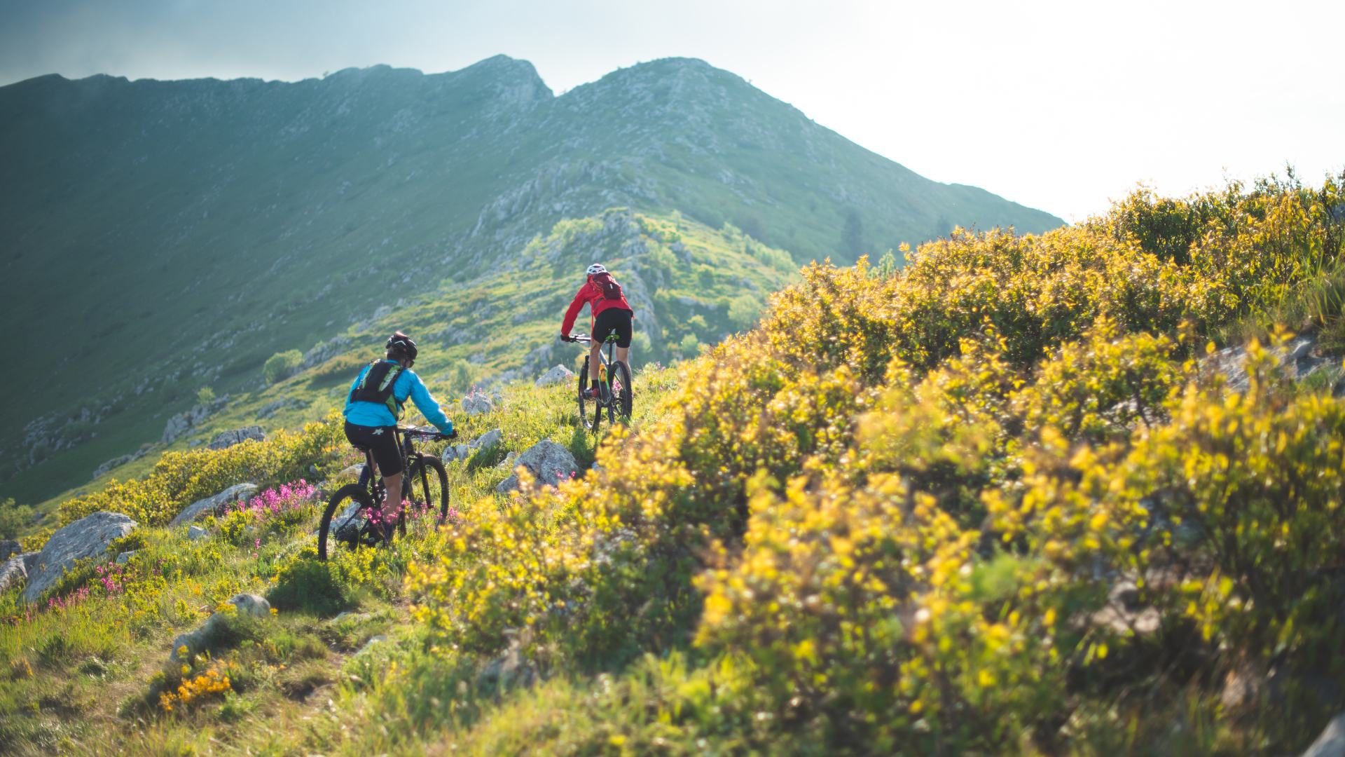 Sardegna in bici: ciclisti in montagna 