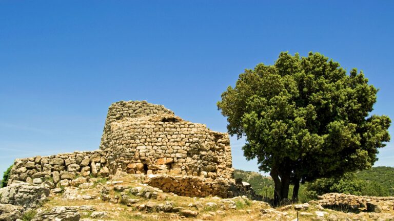 Nuraghe sardo e albero di quercia