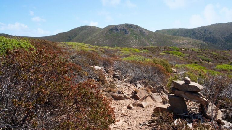 Retreat in mezzo alla natura in Sardegna