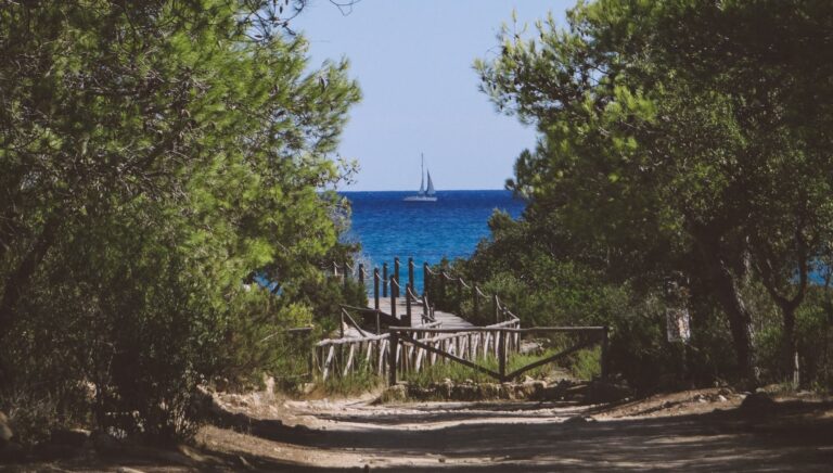 Vista sulla Riserva di Bidderosa a Rosei